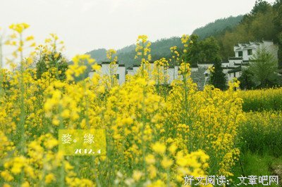 《私奔去远方》的读后感10篇