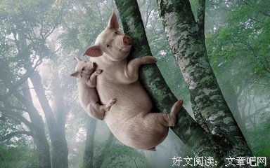15条关于说不清的经典语句