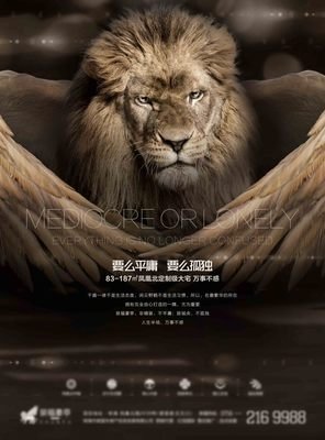多数人必须面对的现实：要么接受平庸，要么死于焦虑。