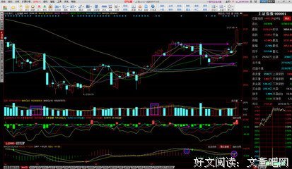 关于并驾齐驱名言名句