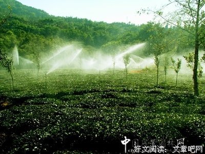 关于湿润的语句