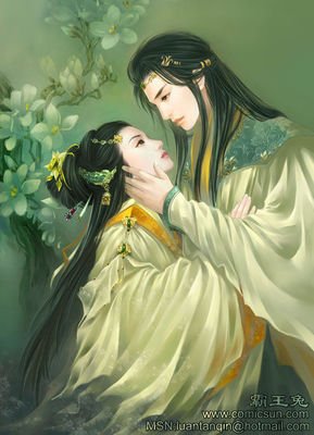 最全的《人生若只如初见》小说摘抄