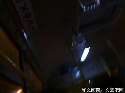 最新的《梧桐那么伤》经典的句子大全