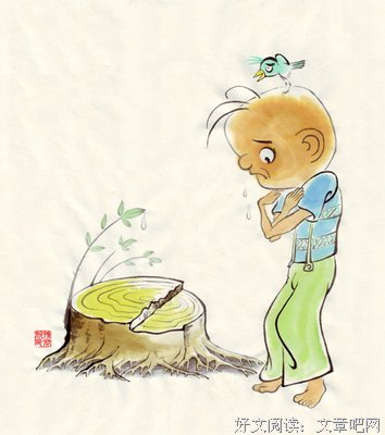 15条关于阴凉的经典语句