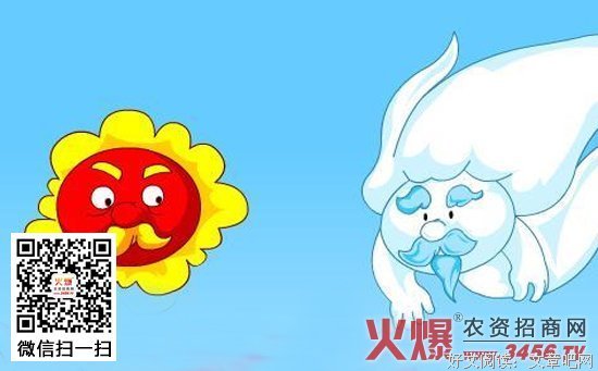 《风与树的歌》经典读后感10篇