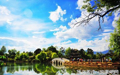 去丽江疗伤读后感10篇