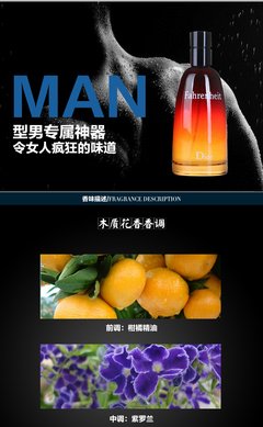 《华氏451度》经典观后感集