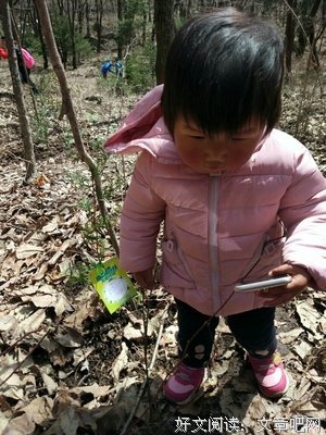 朱雀读后感10篇