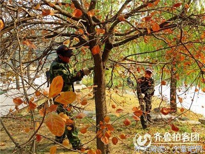 《告别昨日》影评10篇