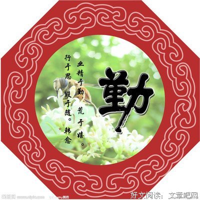 灵活格言警句