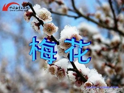 晓白的语句摘抄_关于晓白的语句