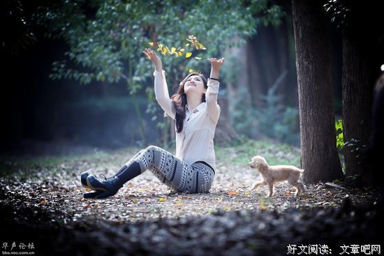 关于狗儿的语句