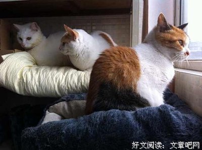 迷惑格言警句