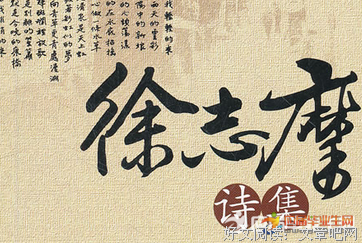 徐志摩诗的读后感10篇