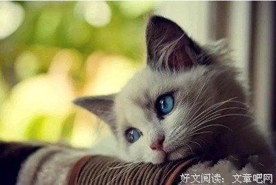 最全的周宏翔15句经典名言