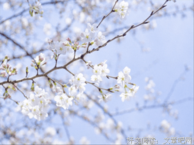 《万叶集》名句欣赏