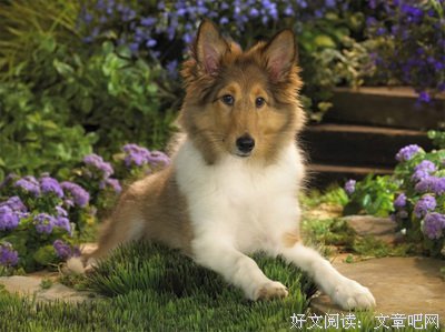 关于聪慧名言名句