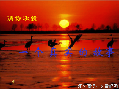 描写横行霸道的经典句子