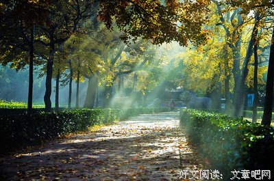 描写梅特林克的经典句子