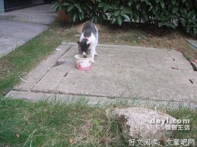 妈妈，谢谢你嫉妒我，讨厌我