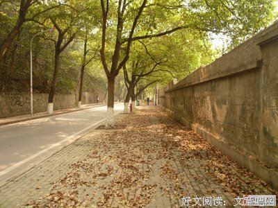 爱不爱，吵架见分晓