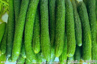 吃多了属世的“垃圾食品”，就会对神的话语失去胃口
