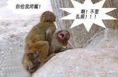 千万别删前任的微信好友，哈哈哈哈哈哈哈哈哈哈哈哈哈哈