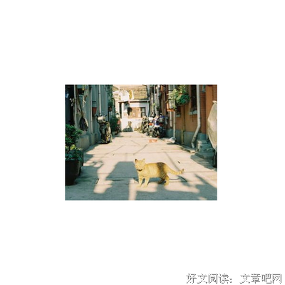 别叫醒我 他在梦里