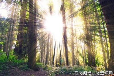 2017卡夫卡名言大全