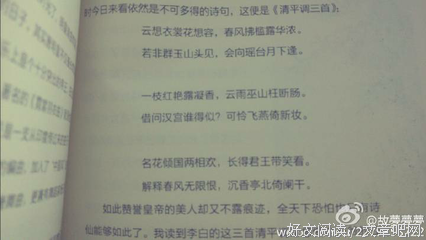 点朱的句子