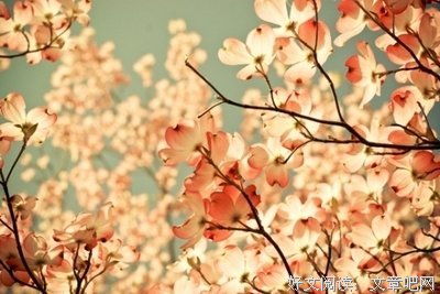 最新的《心静自然禅》经典语句