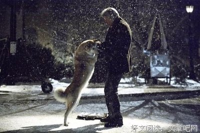 最经典的《我可能不会爱你》好段摘抄