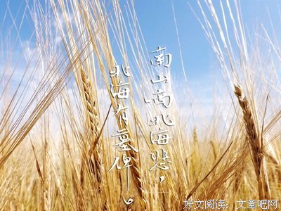 《南山南》语录摘抄