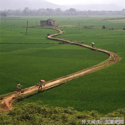 描写羊肠小道的经典句子