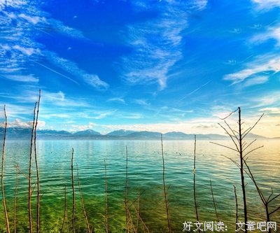 《时光录》语录摘抄