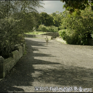 《罗西与苹果酒》经典影评集