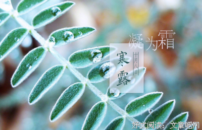 15条关于秋蝉的经典语句