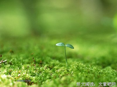 关于花夕拾的格言
