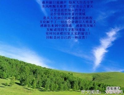 最全的《离婚律师》经典名句大全