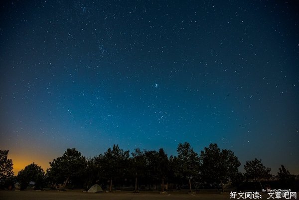 关于自顾不暇名言名句