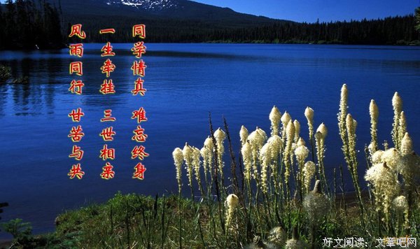 朗诵 | 同学情，一世缘
