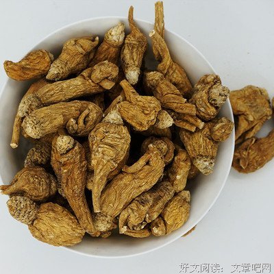 望了黄北草，也不会忘的黄黄苗