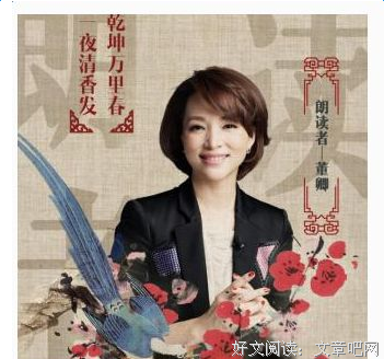 《邻家大贱谍》经典观后感集