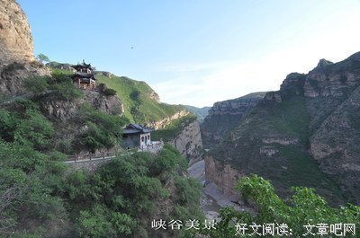当脑中都是杂念，无法静心做事时该怎么办？