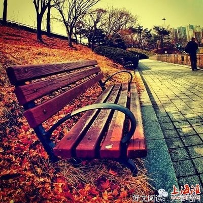 最新的《遇见》经典语录大全