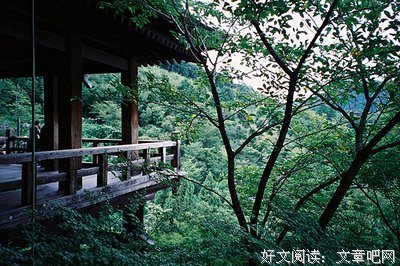 《我不愿让你一个人》名句欣赏大全