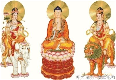 关于白佛言的座右铭