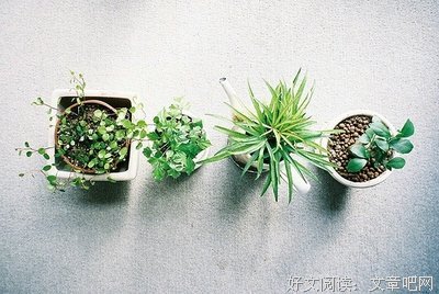 最新的《谁的青春不腐朽2》经典句子大全