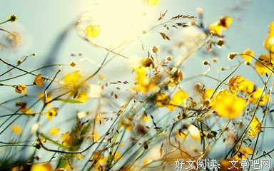 最经典的《细雨喃喃 伽蓝雨》好段摘抄