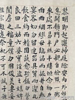 关于萧十一的座右铭